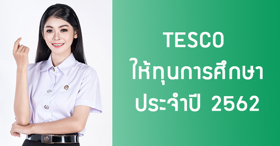 TESCO ให้ทุนปริญญาตรี 2562