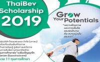 ทุน thaibev scholarship 2019
