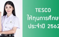 TESCO ให้ทุนปริญญาตรี 2562