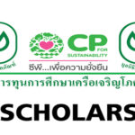 ทุนการศึกษาเครือเจริญโภคภัณฑ์ ทุน CP ระดับปริญญาตรี